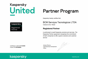 Kaspersky Registered Partner